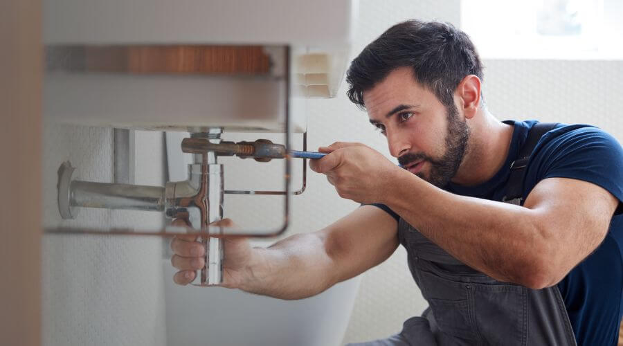 Trap Repair/Replacement in Freeport, MI